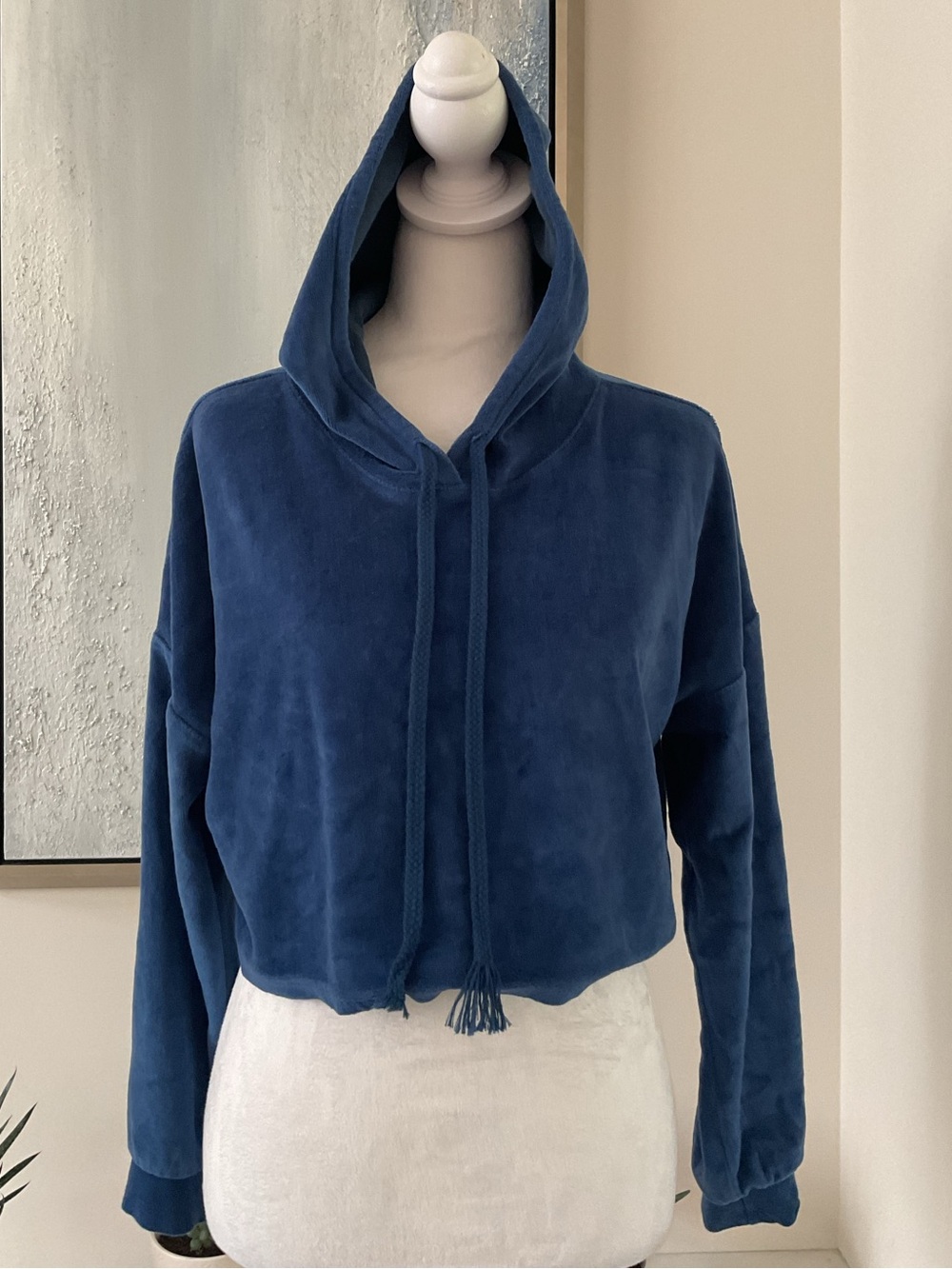 *Cabin Fever *Blue Velour Cropped over the head Hoodie . - Picture 1 of 8